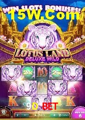 Experiência VIP 9D Bet