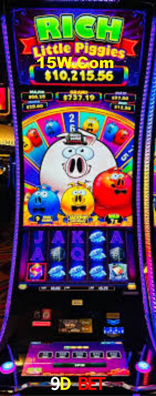 9D Bet: Seu Especialista em Apostas Esportivas Brasileiras